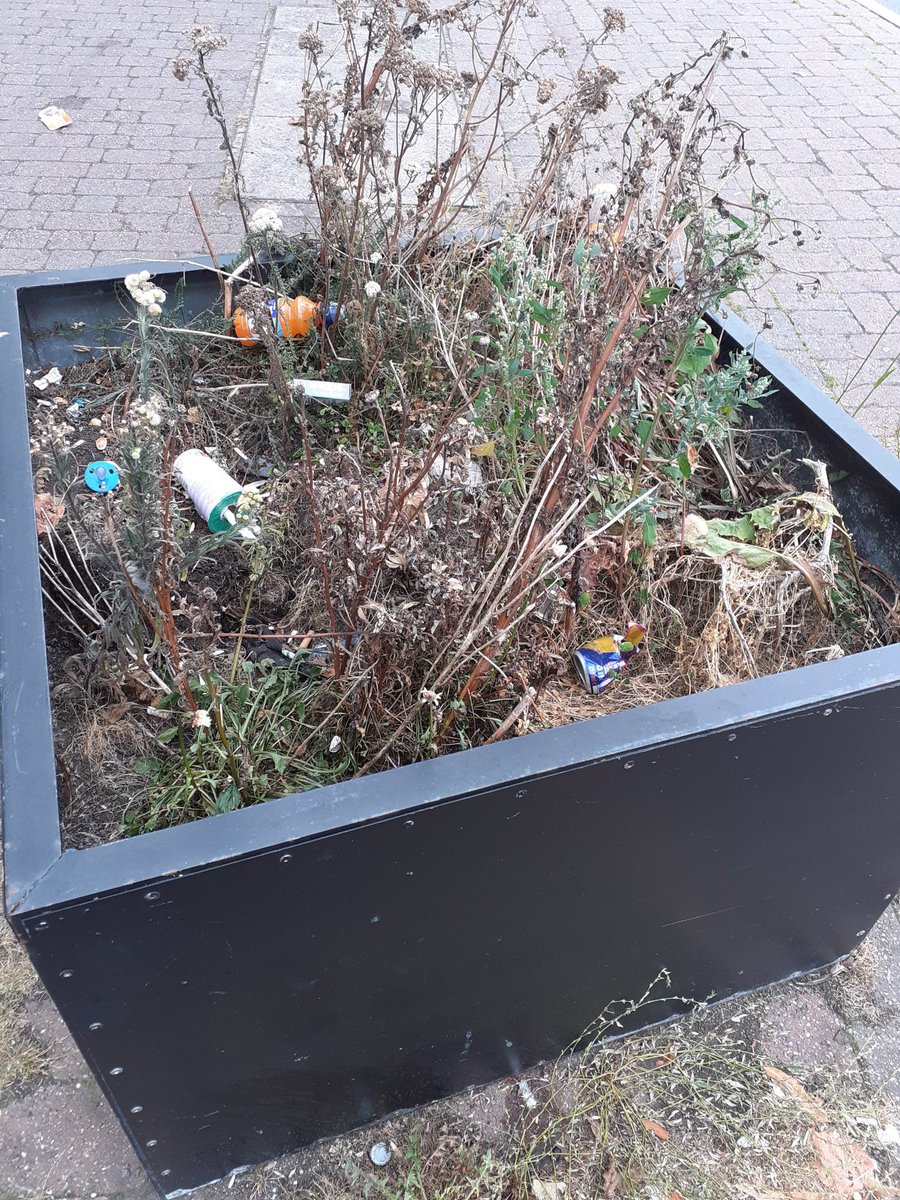 Plantzzman's tweet image. Now I thought as part of Normanton Neighbourhood Board we gave a local community group funding to maintain planters in the Cavendish in #Normanton #Derby