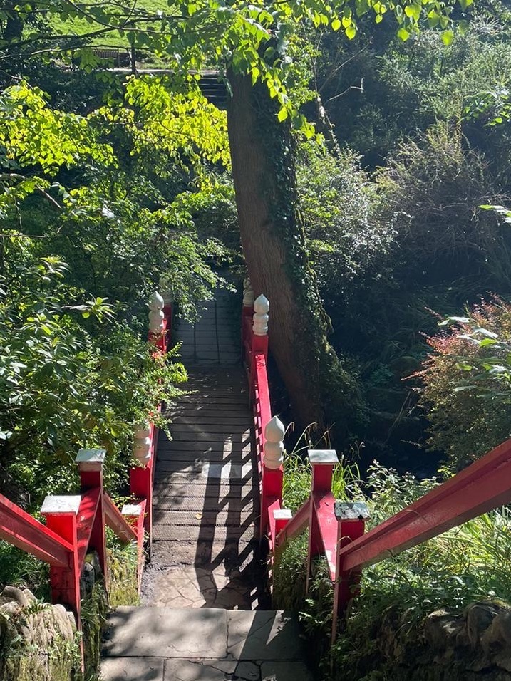 CleanMyPlace's tweet photo. #thicktrunktuesday 🌳
#ClyneGardens #Swansea #Wales #nature #photography #Tuesday #Japanesebridge #NaturePhotography #welsh #outdoors #TuesdayFeeling #nature #wellbeing #wellness #happiness #tuesdaymotivations https://t.co/KadrbBmYaT