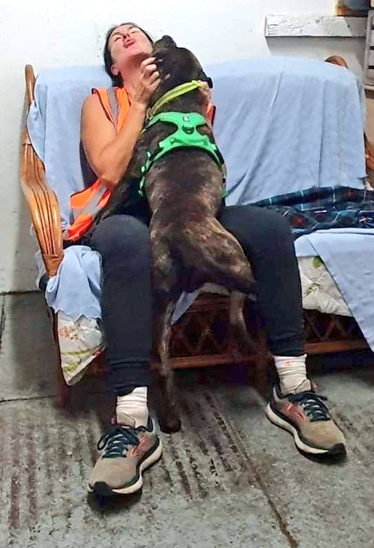SeniorStaffy tweet picture