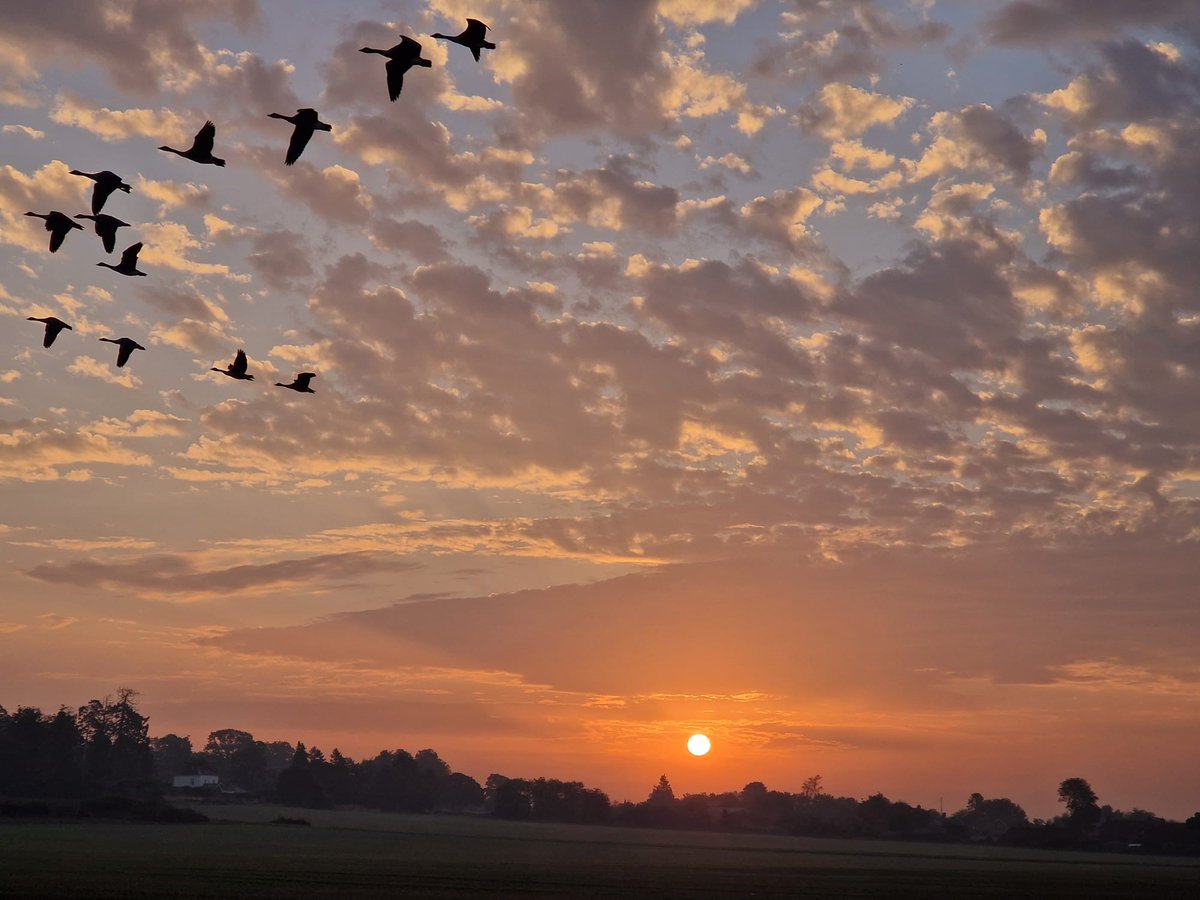 Good morning world! Today we are reflecting &amp; feeling thankful that our school has access to such beautiful scenery. We cannot wait for the forest school session of the term to begin this afternoon <a href="/ForestSchools/">Forest Schools</a> <a href="/HerefordVoice/">Hereford Voice - #HerefordNews</a> <a href="/herefordtimes/">Hereford Times</a>