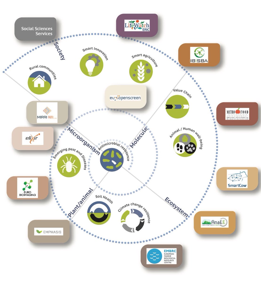 EuOpenscreen's tweet photo. 📢@AgroServEU 1st TNA call now open for applications. Use our #HTSscreening and #Medchem services to identify novel biologically active compounds for #cropprotection #cropproductivity. ✍️Apply now: https://t.co/aKw8YTbpOK #drugdiscovery #funding https://t.co/CG3kR9vfuZ