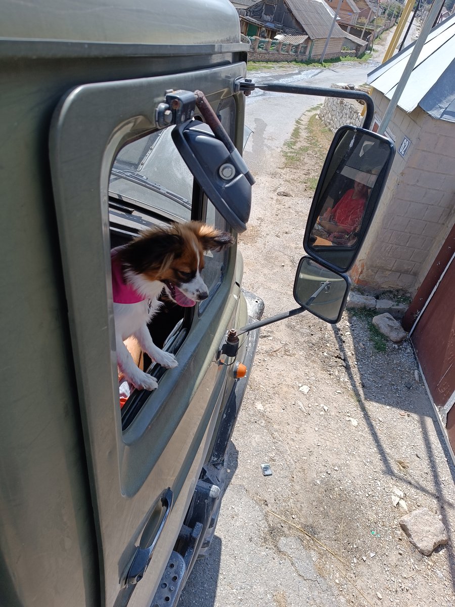 vlfomichev's tweet image. После парадрома мы едем на турбазу Чегем

#кавказ #кбр #чегем #турбаза #тихтинген