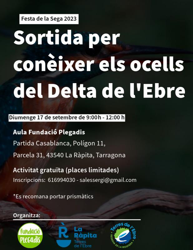 Sortida per veure ocells a les Festes de l'Arròs dlvr.it/SvzLTg