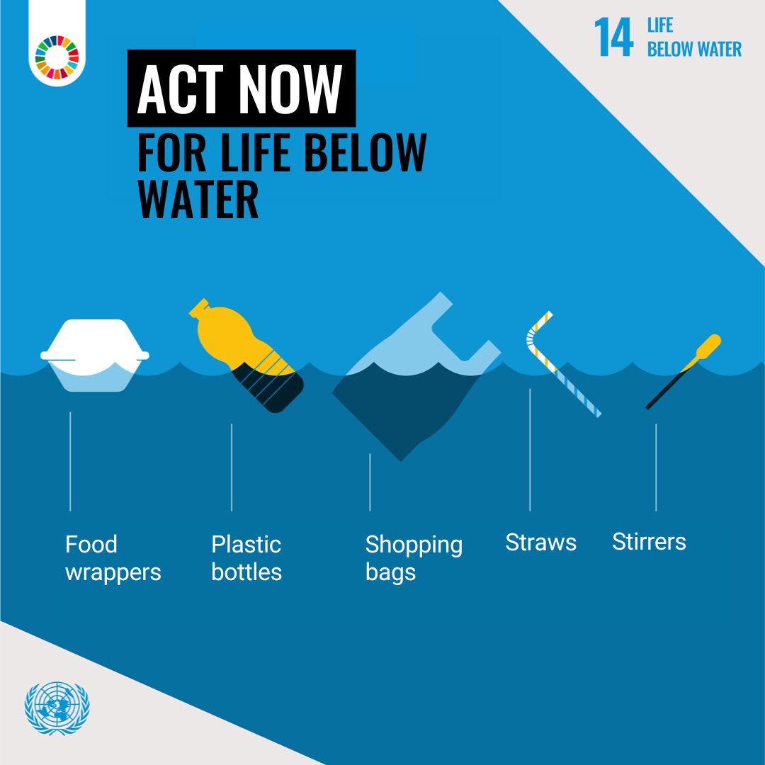 UNinLaoPDR's tweet image. Marine life is vital to our planet&apos;s health. Let&apos;s conserve oceans, protect marine ecosystems, and promote  sustainable fishing practices to ensure life thrives beneath the waves. Join us in advancing #SDG14 -  Life Below Water for a thriving marine world. 🌊🐋 #OceanProtection