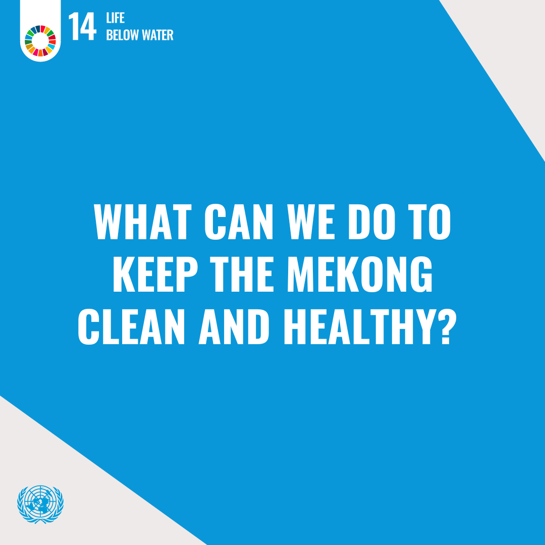 UNinLaoPDR's tweet image. Marine life is vital to our planet&apos;s health. Let&apos;s conserve oceans, protect marine ecosystems, and promote  sustainable fishing practices to ensure life thrives beneath the waves. Join us in advancing #SDG14 -  Life Below Water for a thriving marine world. 🌊🐋 #OceanProtection