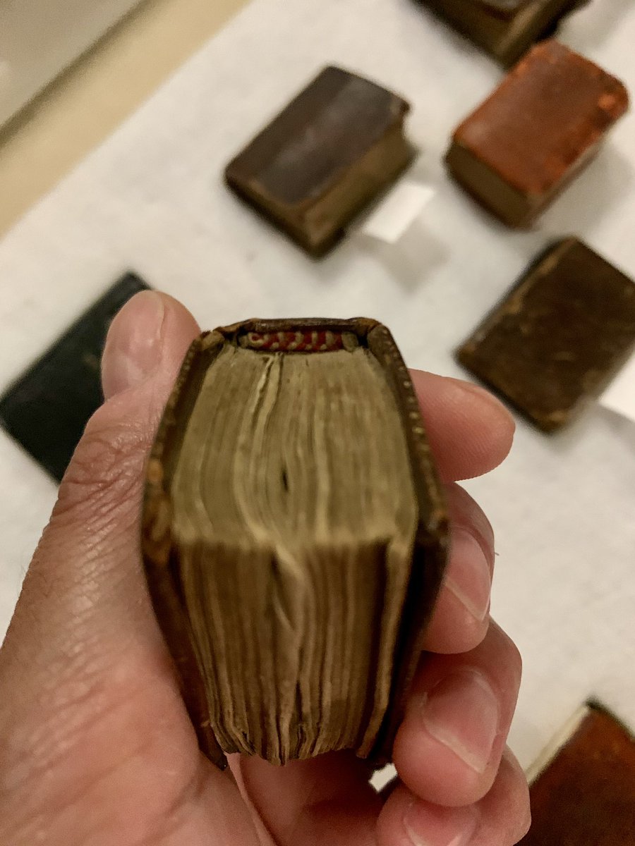 🔍

A selection of beautiful miniature bibles part of the Bible Society collections <a href="/theUL/">Cambridge University Library</a> and recently digitised for @CamDigLib 📚

Featuring magnifying cases, lenses hidden in board pockets, and perfect tiny endbands 🪡

#MiniatureBook #cambridgeuniversitylibraries #TinyTuesday