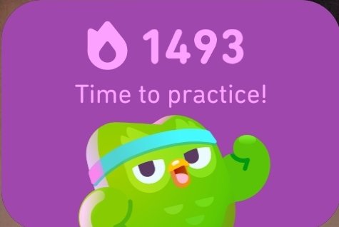 ant_cook_89's tweet photo. @duolingo @duolingo do u even lift bro! https://t.co/TS48w88VJp