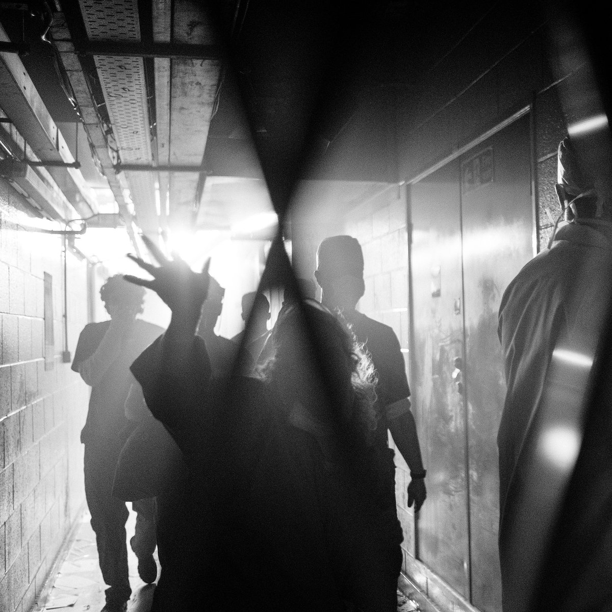 Secret Cinema tweet media