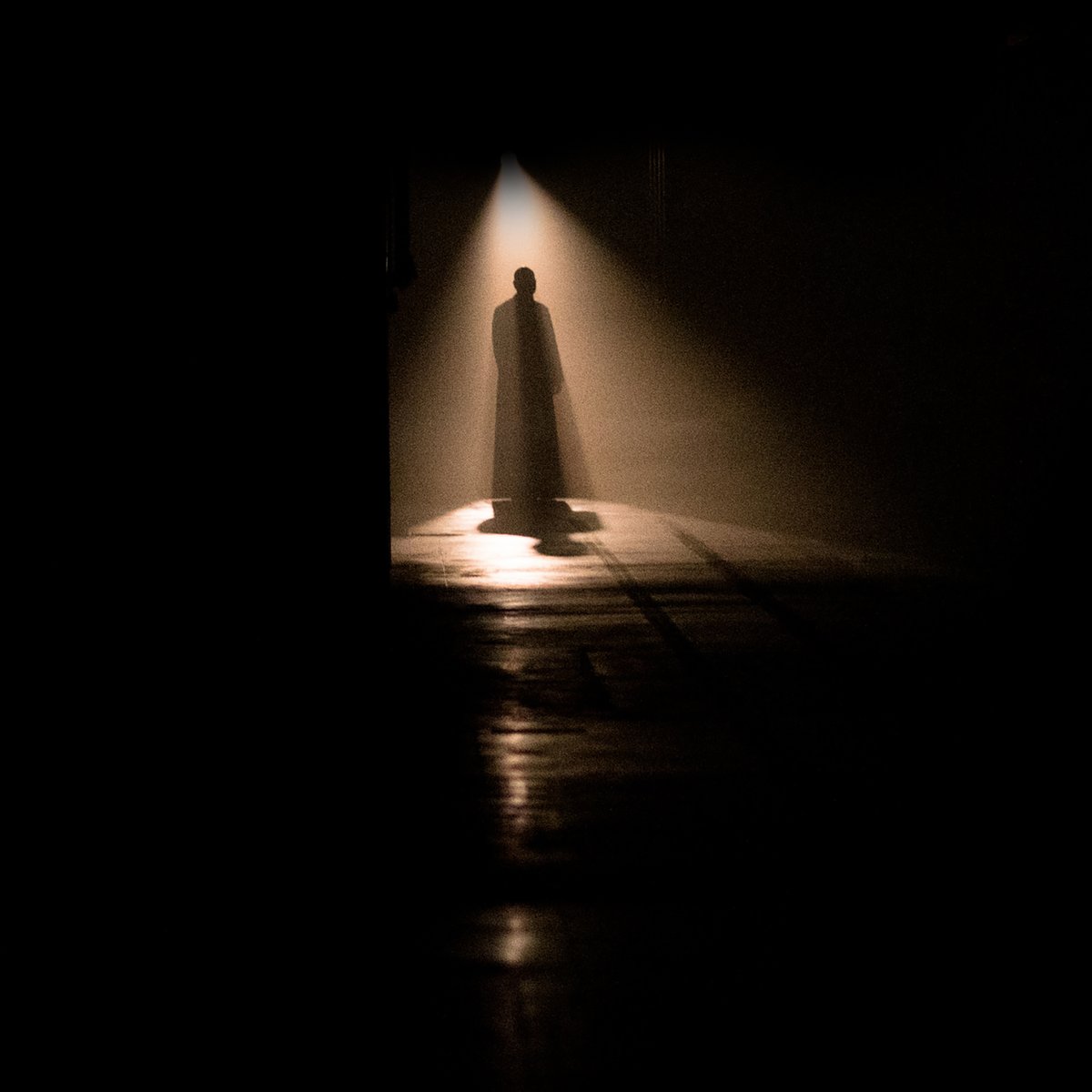 Secret Cinema tweet media