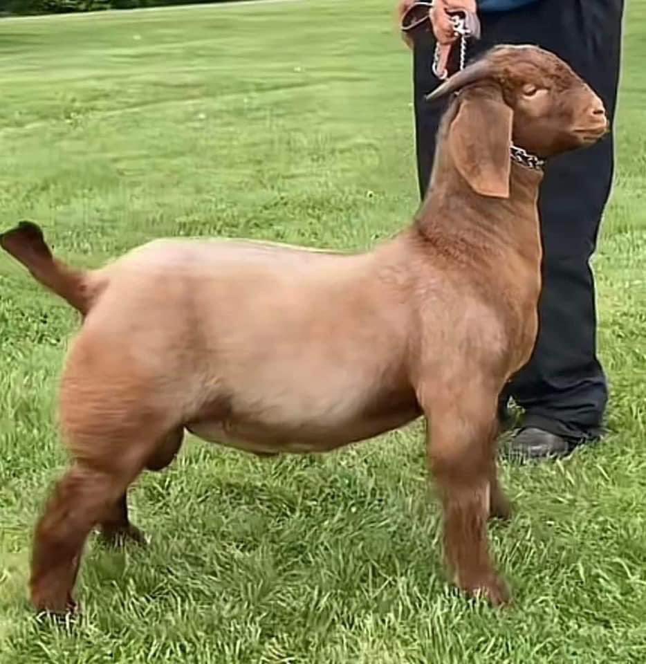 Benny James tweet media