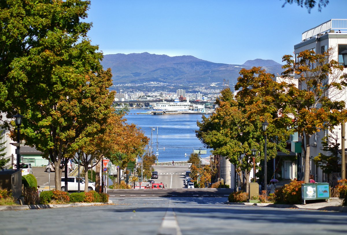 北海道の絶景🌈 函館『 #八幡坂』

ドラマやCMのロケ地に度々なっている函館の絶景スポット💓
函館湾を見渡す景色は壮大で、「訪れたい坂日本一」に輝いたことも。

夏の景色も魅力的ですが、「はこだて冬フェスティバル(例年12月〜2月末頃まで)」中は点灯され、幻想的な雰囲気に✨