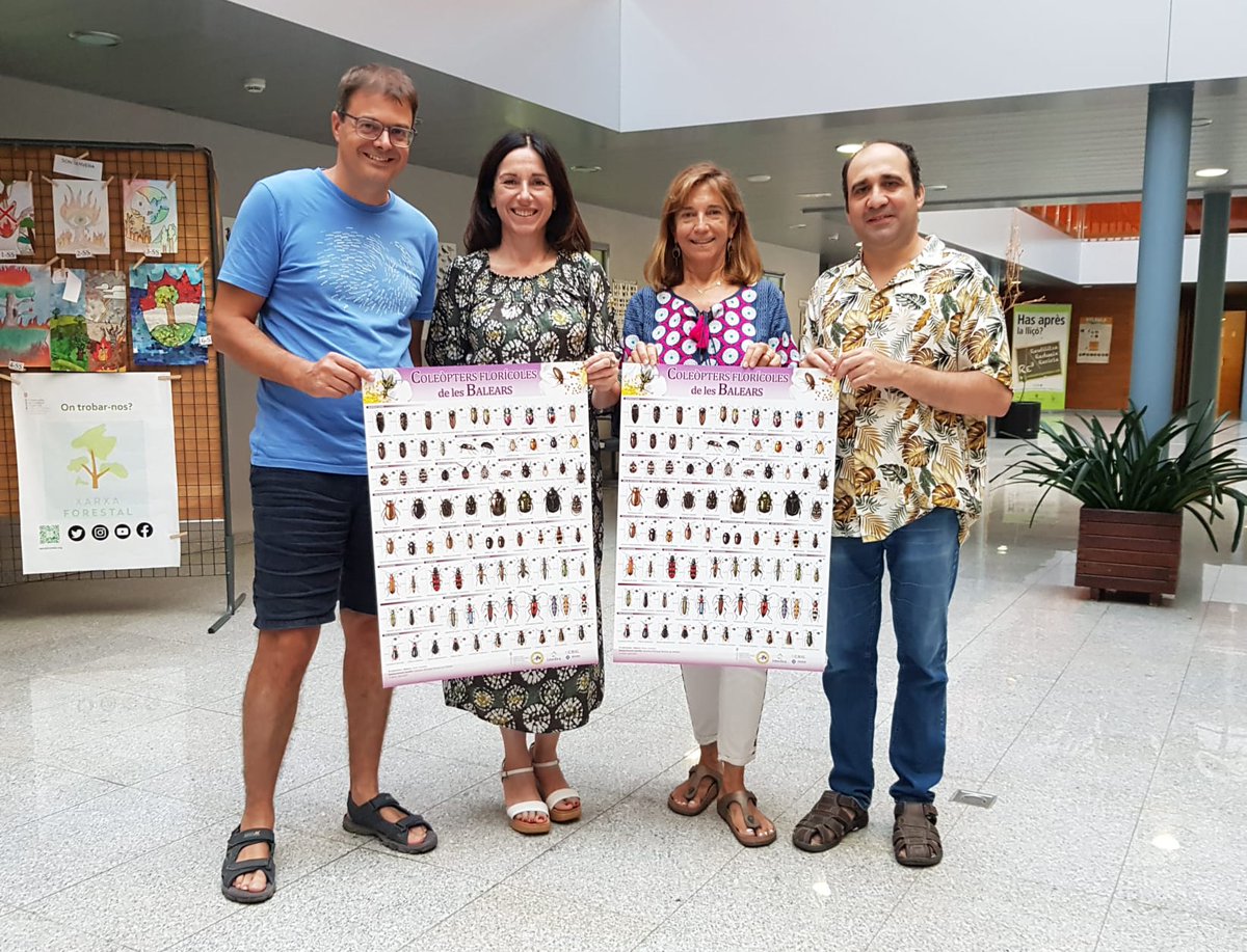 ⁉️ Què en saps de les espècies de coleòpters de les Illes Balears?

🪳 La Conselleria d'<a href="/AgriculturaGOIB/">Conselleria d'Agricultura, Pesca i Medi Natural</a>, amb la col·laboració de l'<a href="/IMEDEA_UIB_CSIC/">IMEDEA (UIB-CSIC)</a>, ha editat un pòster amb la finalitat de donar a conèixer els insectes pol·linitzadors de l'Arxipèlag

🔗 tn.caib.es/coleopters