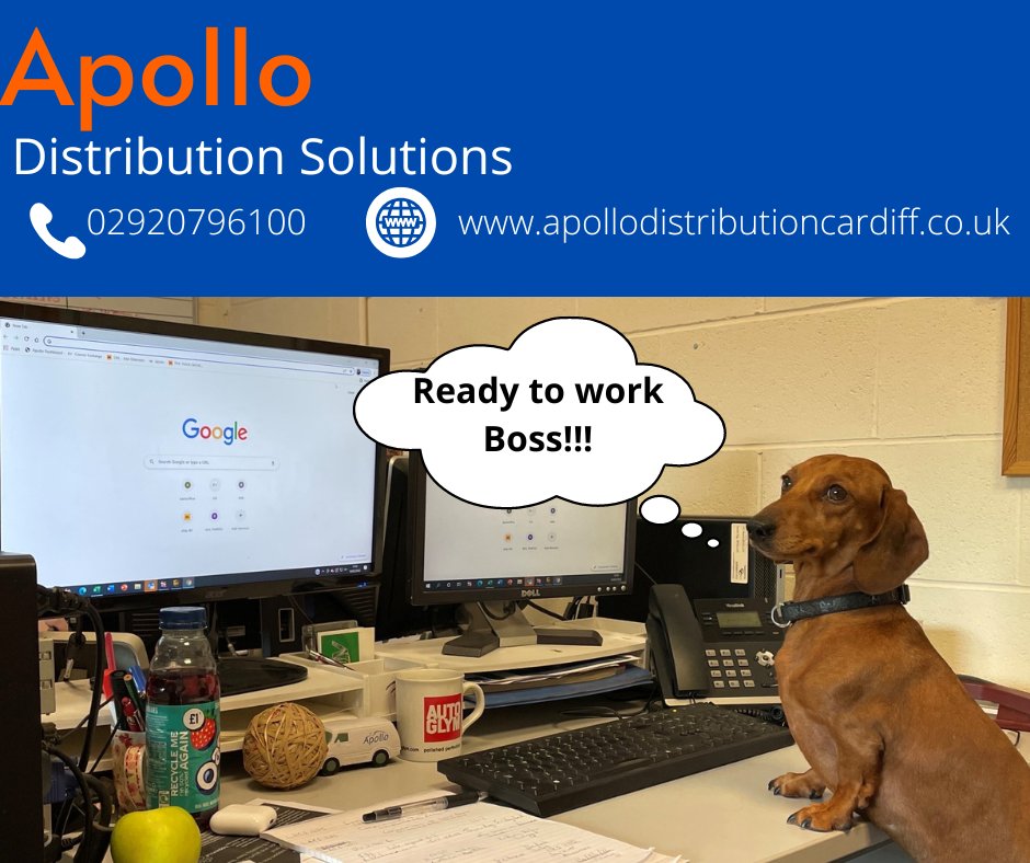 ApolloCardiff's tweet image. #Apollocardiff #samedaycourier #courier #samedaylogistics