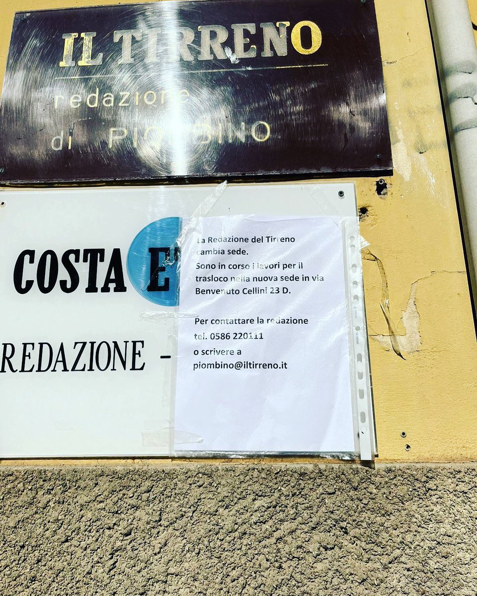 cecilia cecchi tweet media