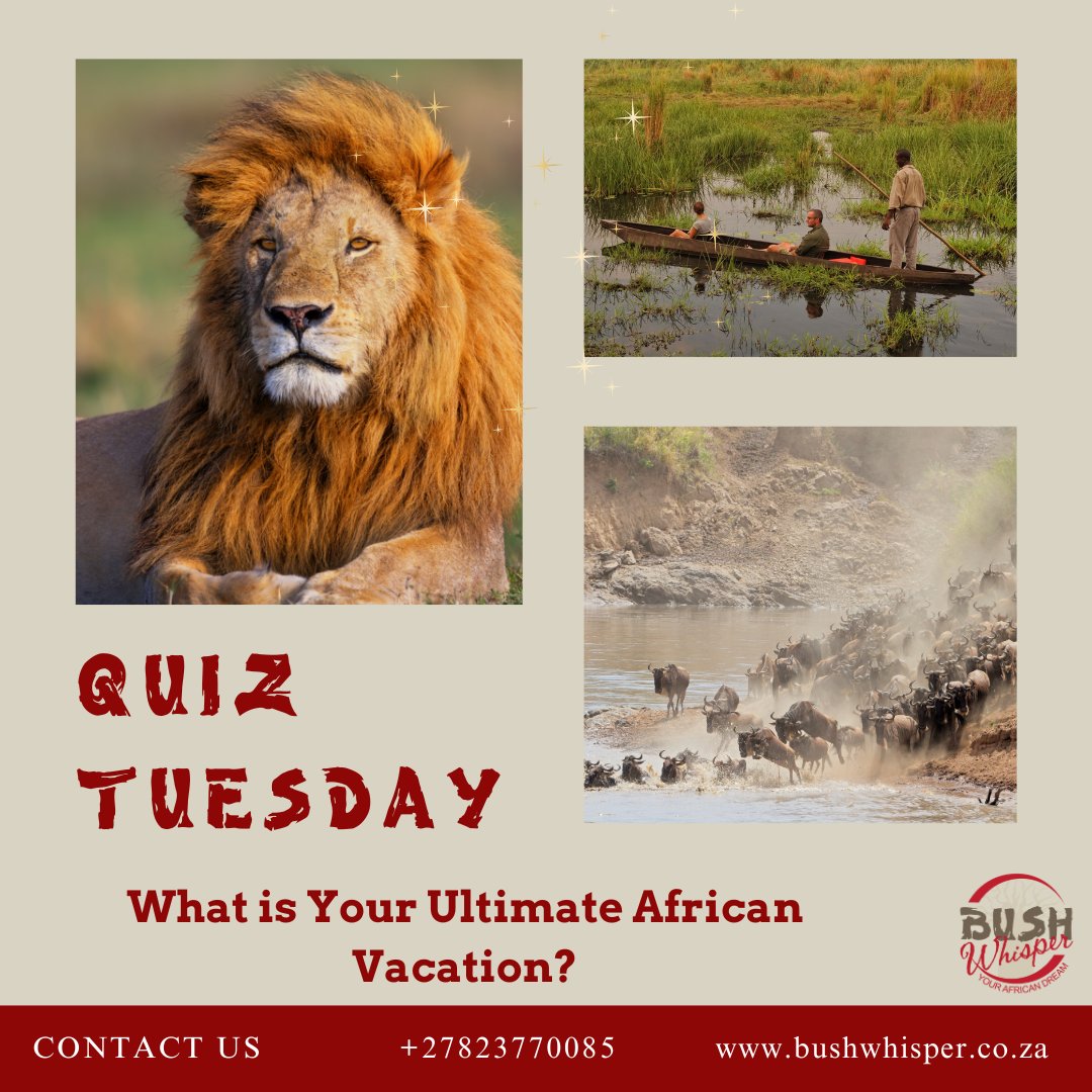 Bush_Whisper's tweet image. #QuizTuesday
What would your ultimate African vacation be?  From thrilling wildlife experiences, serene beach relaxation, cultural immersion, culinary delights, Okavango delta, or sliding down Dune 45... 

#letyourimaginationrunwild
#ultimatevacation
#dreamholiday