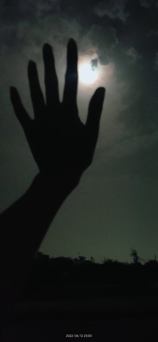 RaqibaNaz's tweet photo. the day I missed you, the day that specific beauty reminded me of you, I tried to capture that moment in my camera roll which never fails to give me relief ~~ 

#HecticDaysWithJoon 🕊️🐞🪴🌑 https://t.co/If3wo3aPkn
