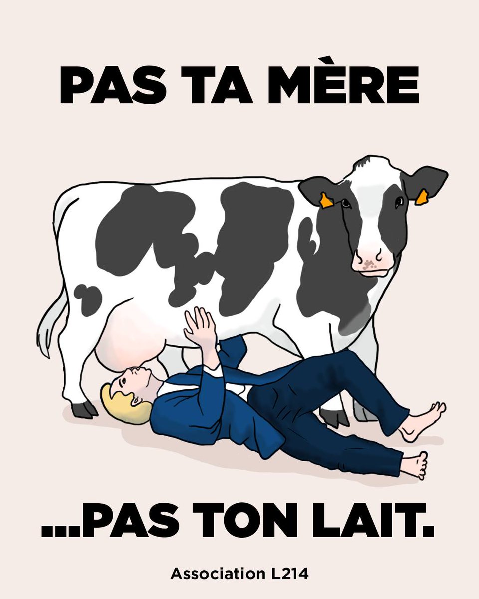 VELEMEBB tweet media
