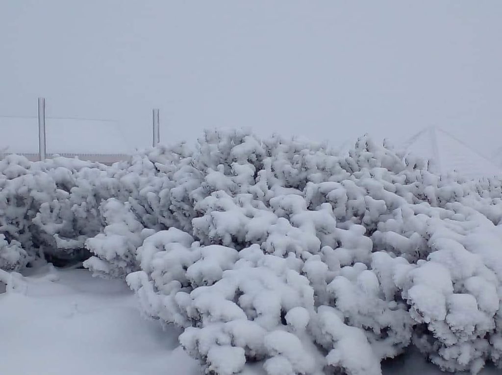 Motlatsi_RC's tweet photo. One thing you can't predict is our weather; just when you think snow season is over...then boom!!!!🥶🇱🇸❤️

📷 Sani Mountain Escape

#SnowInSpring @visitlesotho https://t.co/YWkb7R5CRj