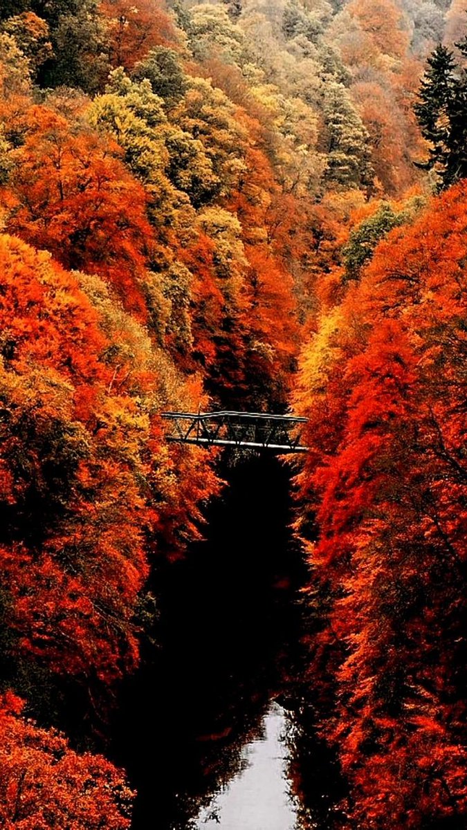 ''Sakın Allah'ın rahmetinden ümidini kesenlerden olma!''

— Hicr Suresi 55. Ayet