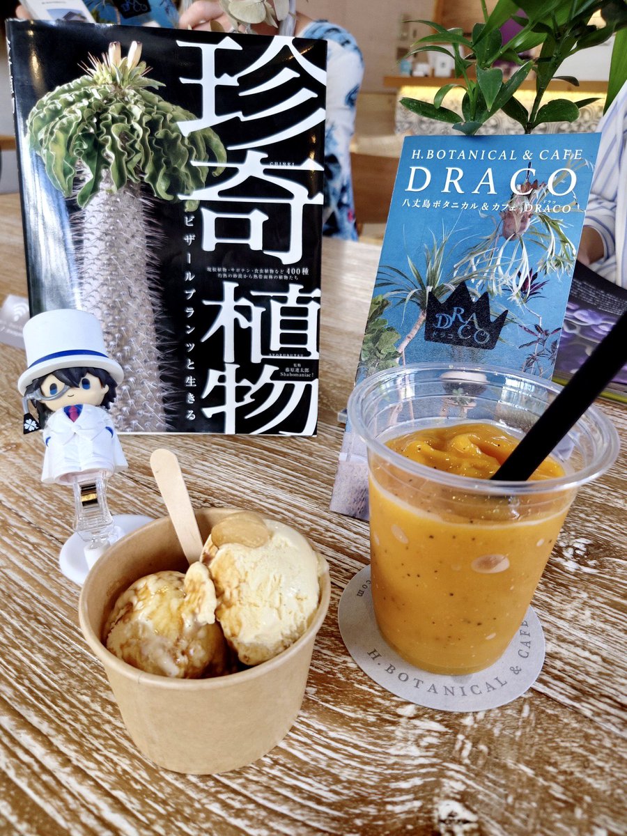 AnglerPopeto's tweet photo. 八丈島のボタニカル＆カフェ『DRACO』怪盗キッド参上🃏

植物🪴ティー🫖アイス🍨にとても癒されました🥰

お店のURLはこちら💁‍♀️
https://t.co/y7WsOLUPcZ

#DRACO
#ボタニカルカフェ
@conan_movie
@conan_file
#名探偵コナン
#黒鉄の魚影 (サブマリン)
#怪盗キッド
#黒羽快斗
#中年キッド https://t.co/EV1oeVBxSH