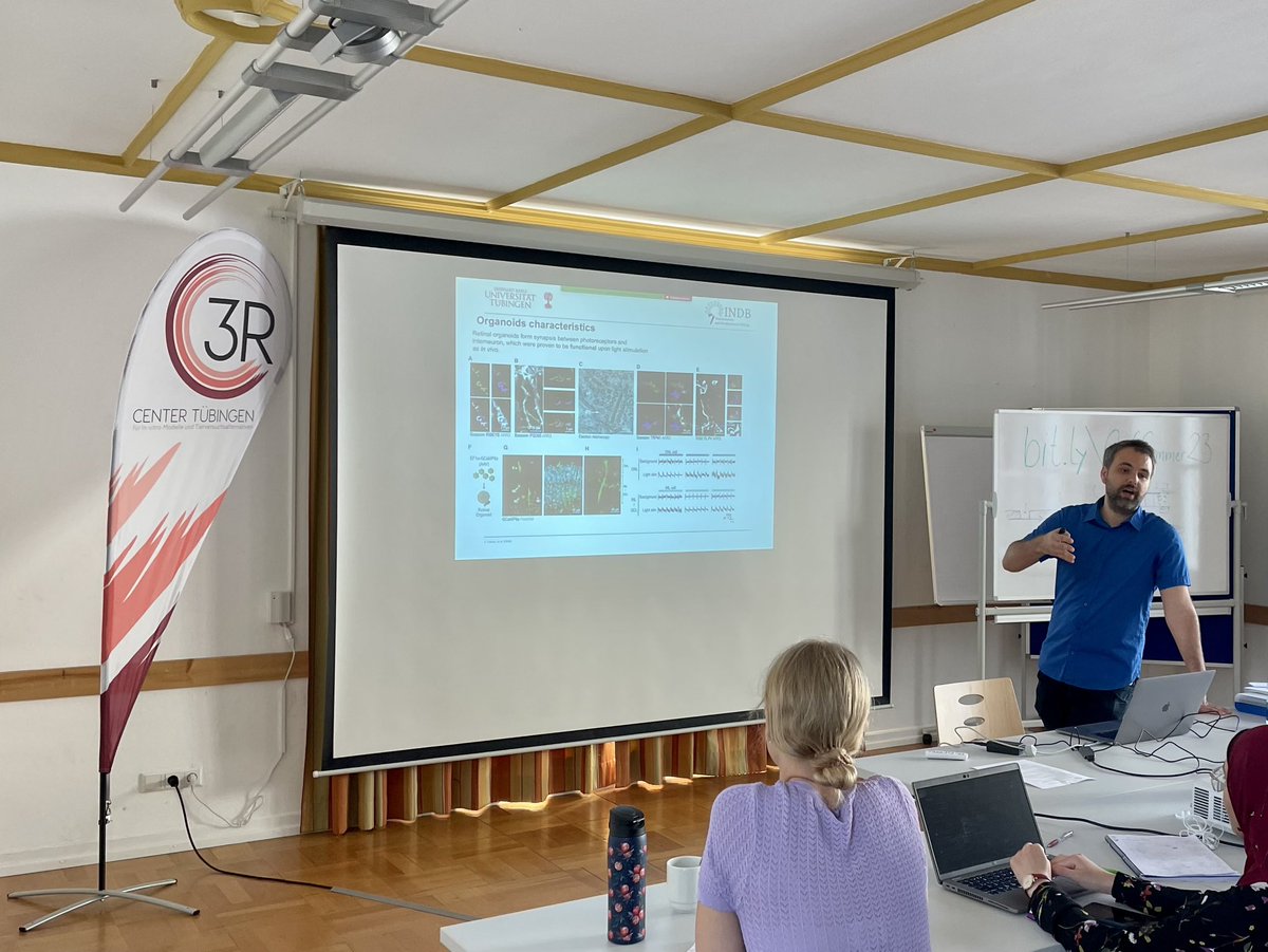 3RCenter's tweet photo. 🤔What are #organoids and what’s their role in #OrganOnChip research? Kevin Achberger from @MedTuebingen @uni_tue introduces these self-organized 3D structures to our #OoCSummer23 students. They faithfully mimic human #organs, shedding light on disease mechanisms & drug responses https://t.co/2Z4lTCcTUf
