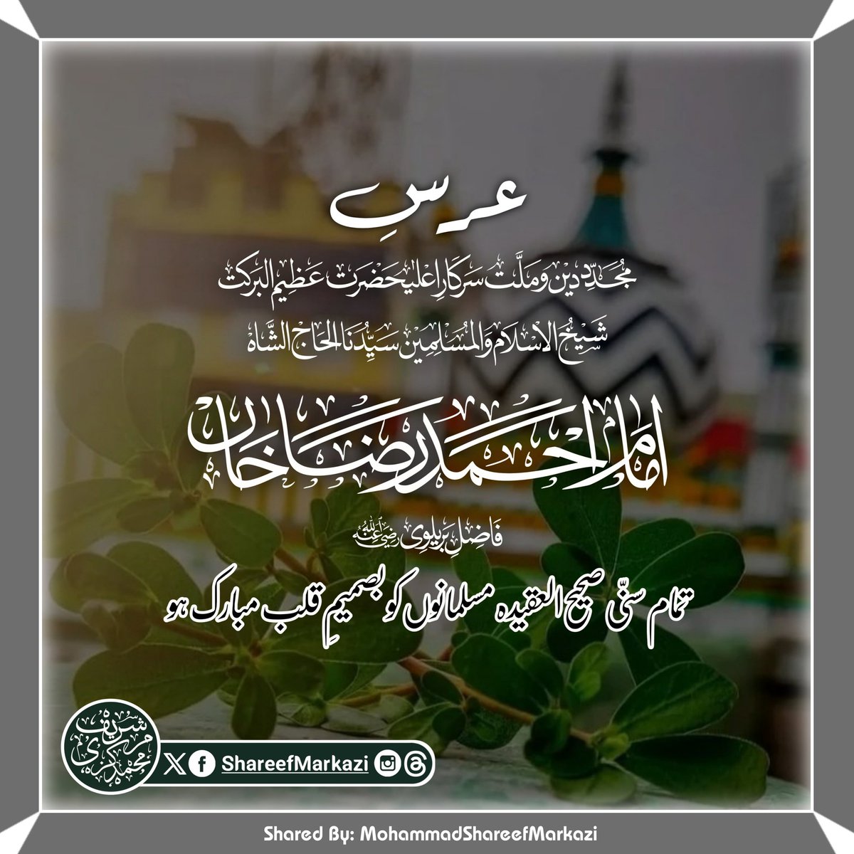 ShareefMarkazi's tweet photo. 🌹 عرسِ اعلیٰ حضرت مبارک 🌹 https://t.co/0xeCfVdcOL
