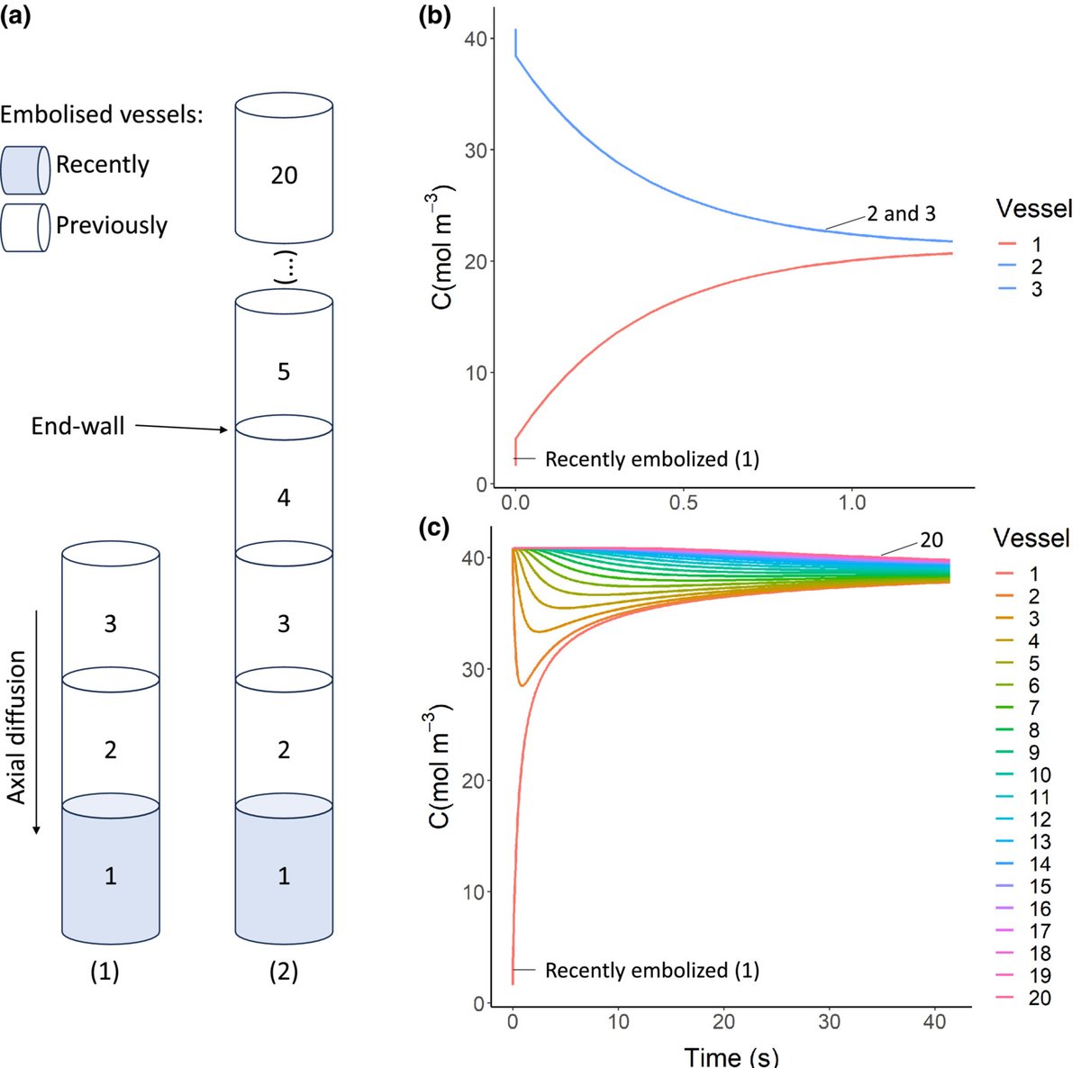 NewPhyt's tweet photo. Angiosperms follow a convex trade-off to optimize hydraulic safety and efficiency

Pereira et al. @PlantLabUlm @biolpereira 

📖 https://t.co/uimiUCB22S https://t.co/Yj4UaQlENM
