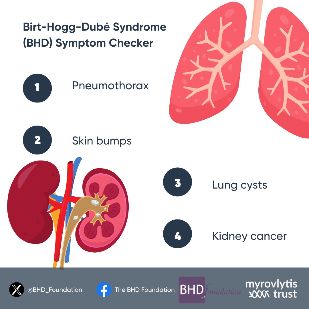 "How can we spot BHD? 🤔

BHD does not always look the same and the symptoms can vary. However, there are some common symptoms we can look out for. It's important to know these signs, as it can help clinicians make a diagnosis. 

Take a look at our symptom checker. ⬇️"