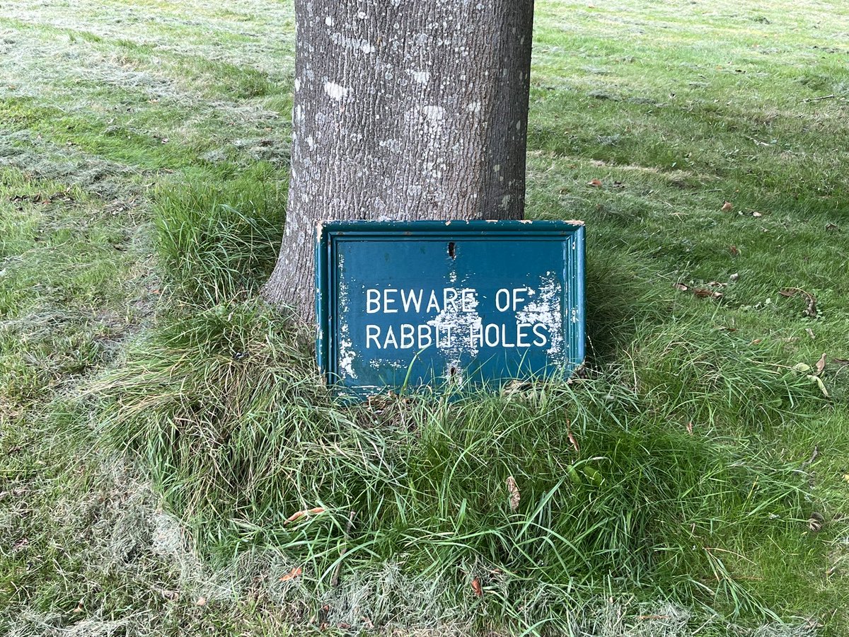 Broadly good life advice