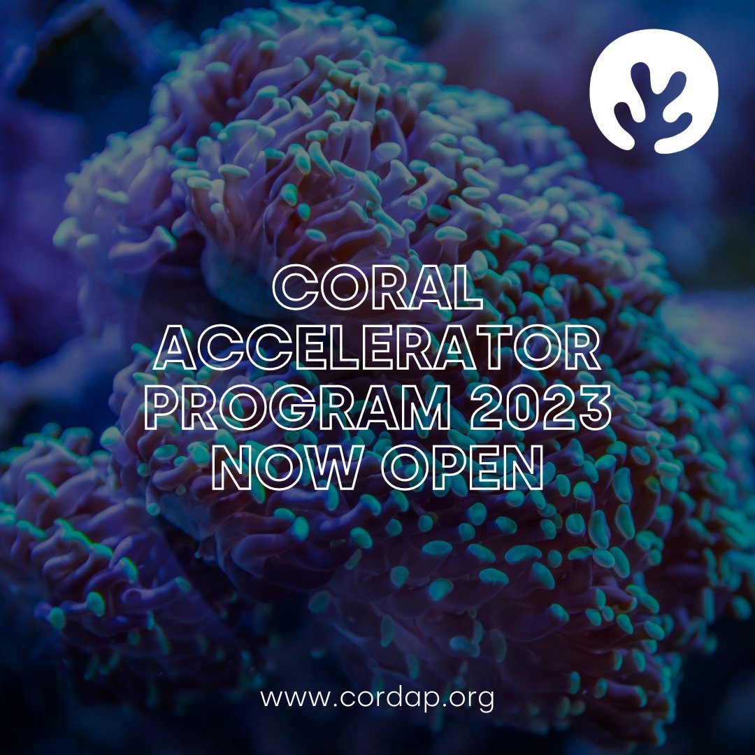 ICRI Secretariat (@icri_coral_reef) on Twitter photo 🔊 Call for Proposals now open for <a href="/CORDAP_/">G20 CORDAP</a> Coral Accelerator Program 2023 funding!
CORDAP is a supported initiative of ICRI, #ForCoral
The deadline for Concept Note Submissions is November 10, 2023, at 17:00 UTC.
Learn more: shorturl.at/knpVW 🔊 Call for Proposals now open for <a href="/CORDAP_/">G20 CORDAP</a> Coral Accelerator Program 2023 funding!
CORDAP is a supported initiative of ICRI, #ForCoral
The deadline for Concept Note Submissions is November 10, 2023, at 17:00 UTC.
Learn more: shorturl.at/knpVW