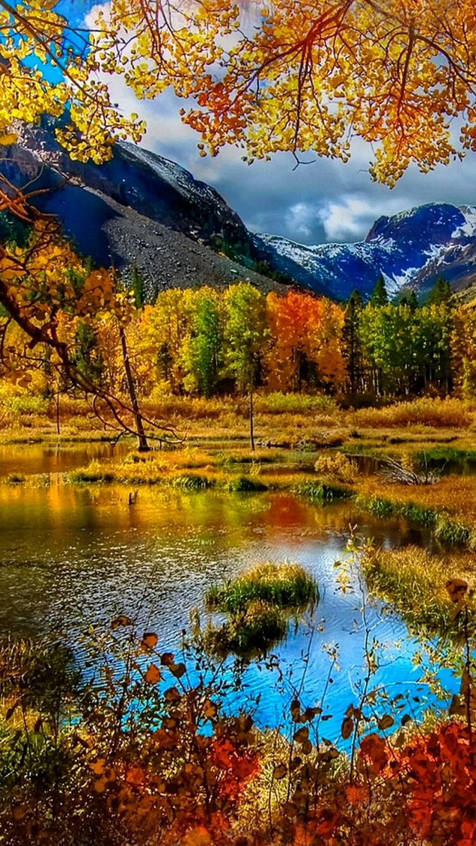 " Can you paint it with the colors of the fall? "  🎨 🍁