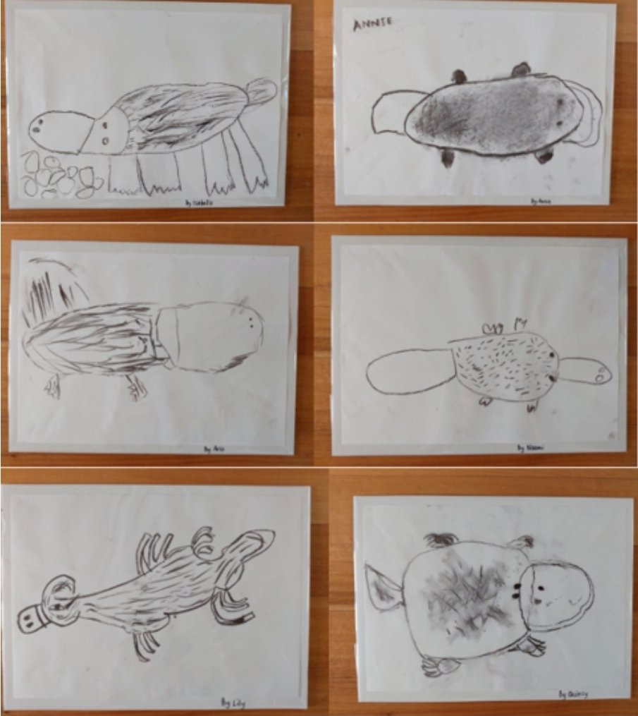 Primary school kids have created adorable sketches to help raise money for a new recovery centre at Bonorong Wildlife Sanctuary. Support their work!  <a href="/BonorongTAS/">Bonorong Wildlife Sanctuary</a>
32auctions.com/friendsofthepl…