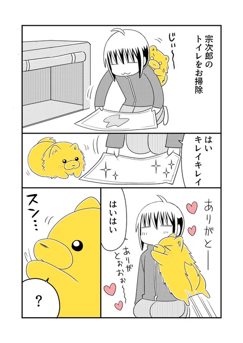 賢いポメチャンは汚れたおトイレを許さない!!きちんと防臭袋に入れるまでがお掃除です!꒰ ՞•ﻌ•՞ ꒱
#宗次郎Jr 