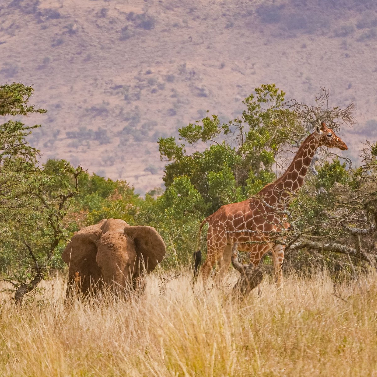 Beyond the Ultimate tweet media