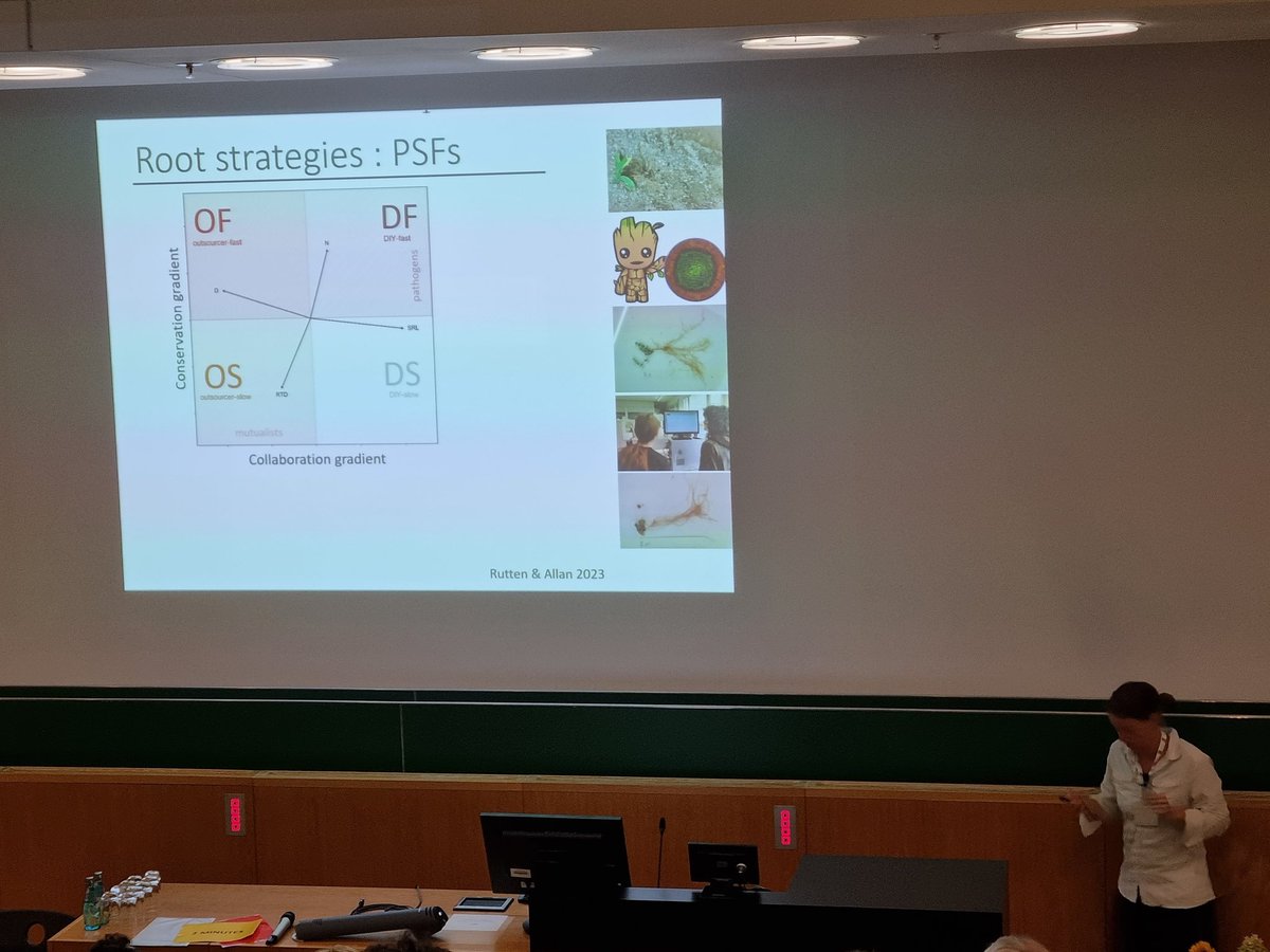 Super interesting talk by Gemma Rutten from the @AllanEcology Group presenting a new framework linking root traits with plant soil feedbacks #Gfoe23