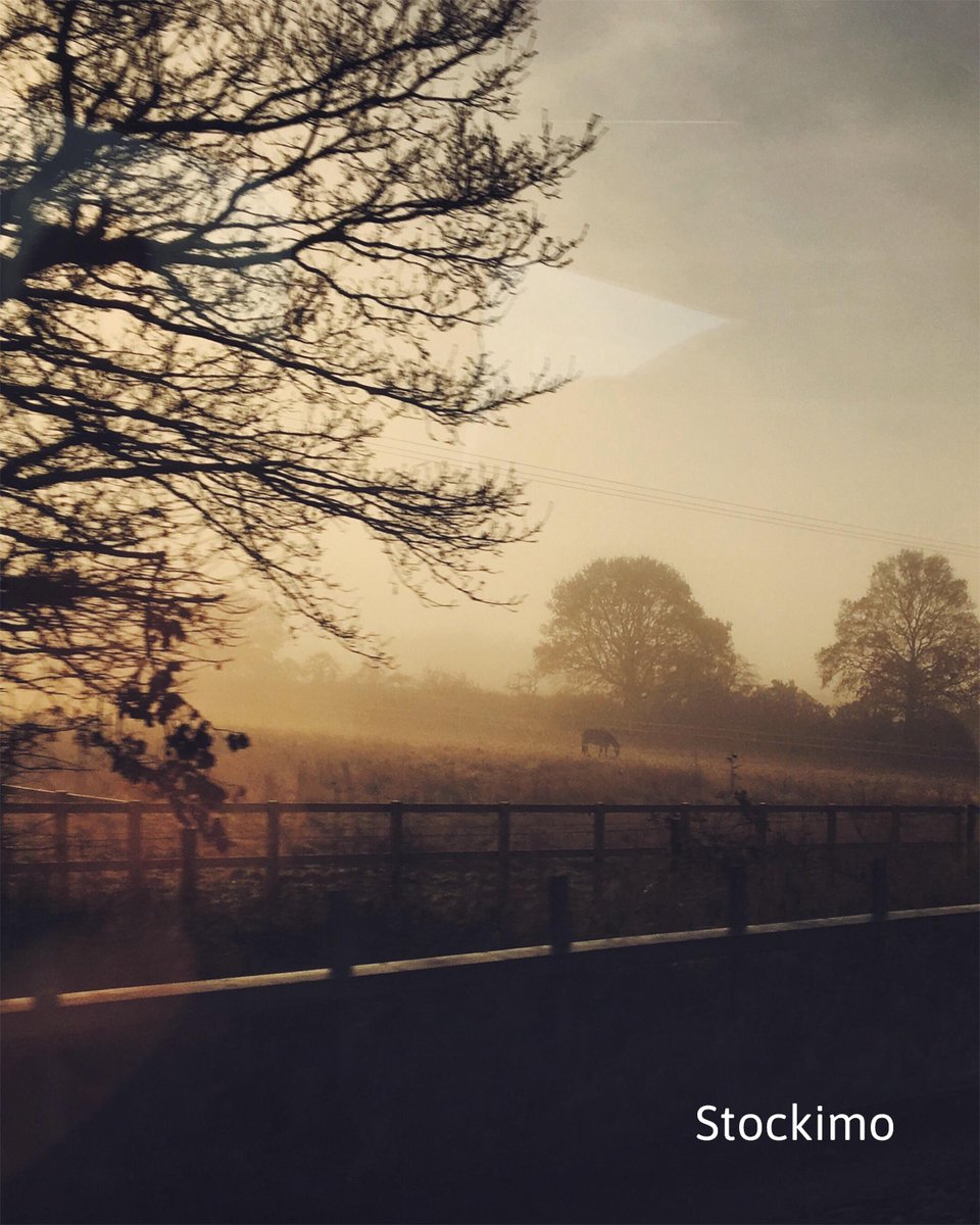 stockimo's tweet image. Early commute?

You never know what wonders await you from simply looking out the train window in the morning, especially if it's the crack of dawn!

Image ID(s): S18XWM, S174KN &amp;amp; S3MHD3

#Stockimo #MobilePhotography #Sunrise