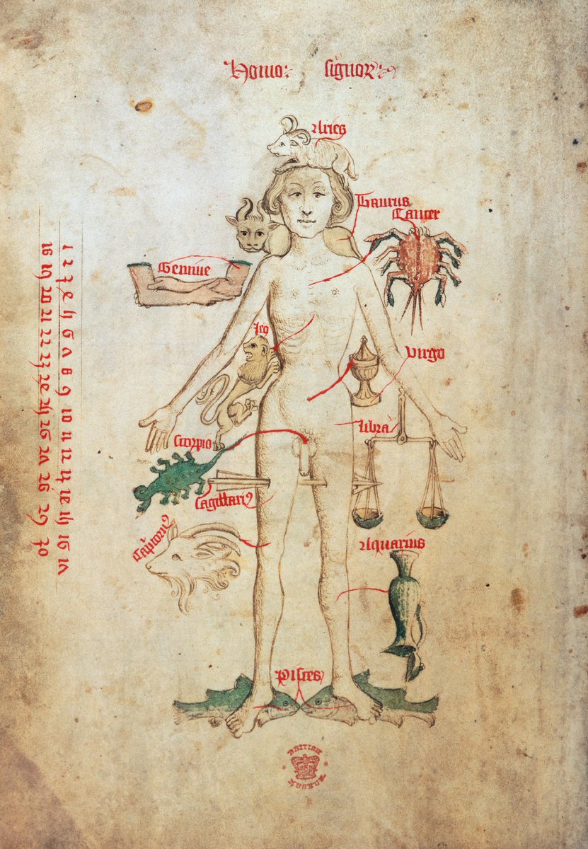 British Library tweet media