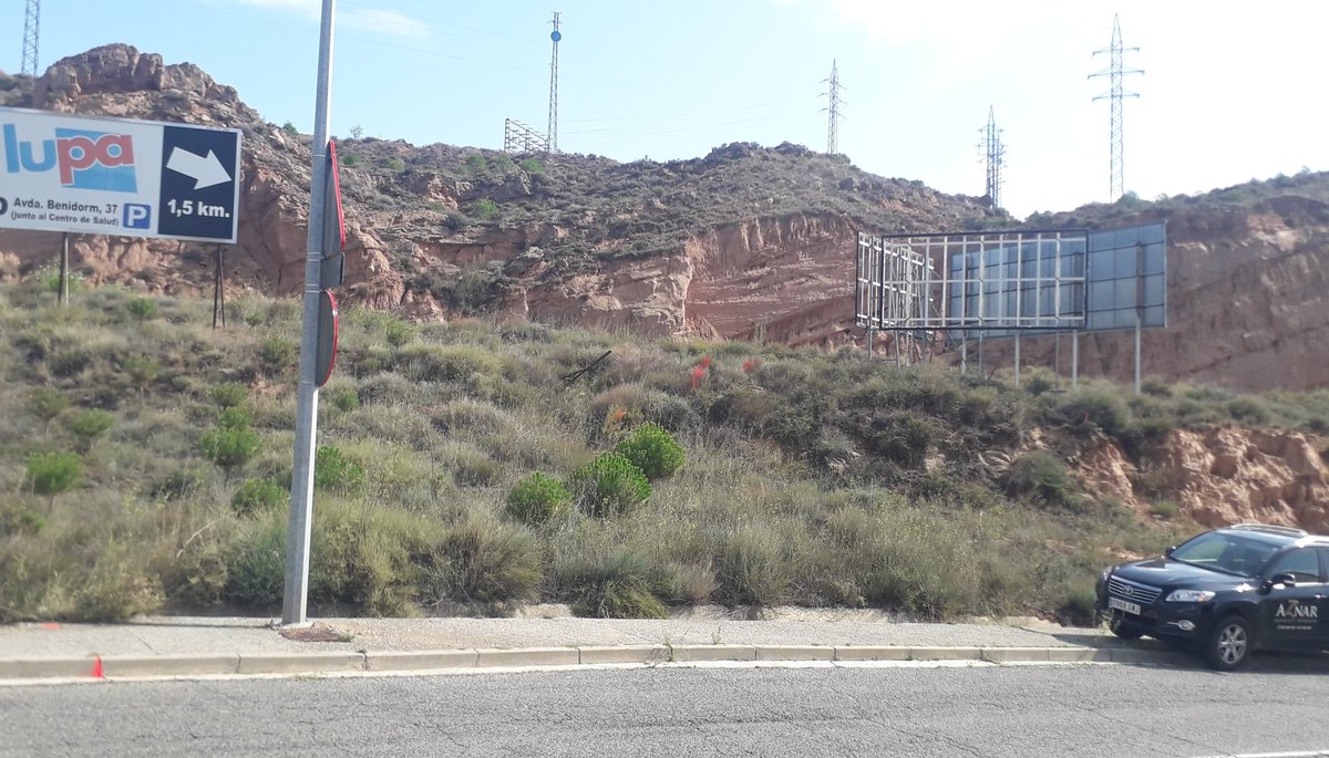 Eiiiii #followers, #topografía para qué sirve??
Delimitación de parcelas para colocar carteles publicitarios. 
💰💲
Conocer la ubicación de tu propiedad, ayuda a disponer de ella, evita conflictos. 
Documenta tu parcela.

#precisión 
#legalidad 
#coordenadas 
#GPS 
#medición