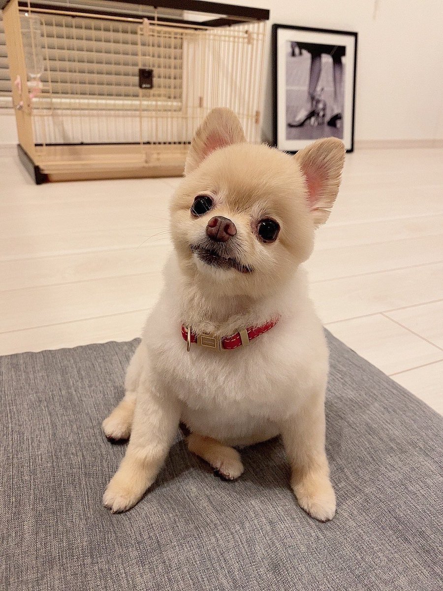 unkochan1234567's tweet photo. 顔面偏差値2兆 https://t.co/HgEBN6nmYj