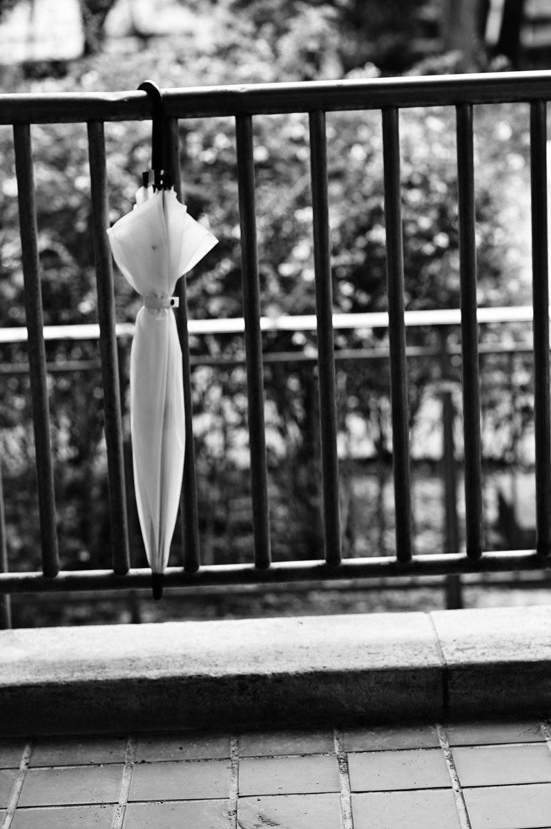 TTriXbw's tweet image. Best Shot Gallery
[ #朽ちたもの ] [ #rotten #decayed #decay ]