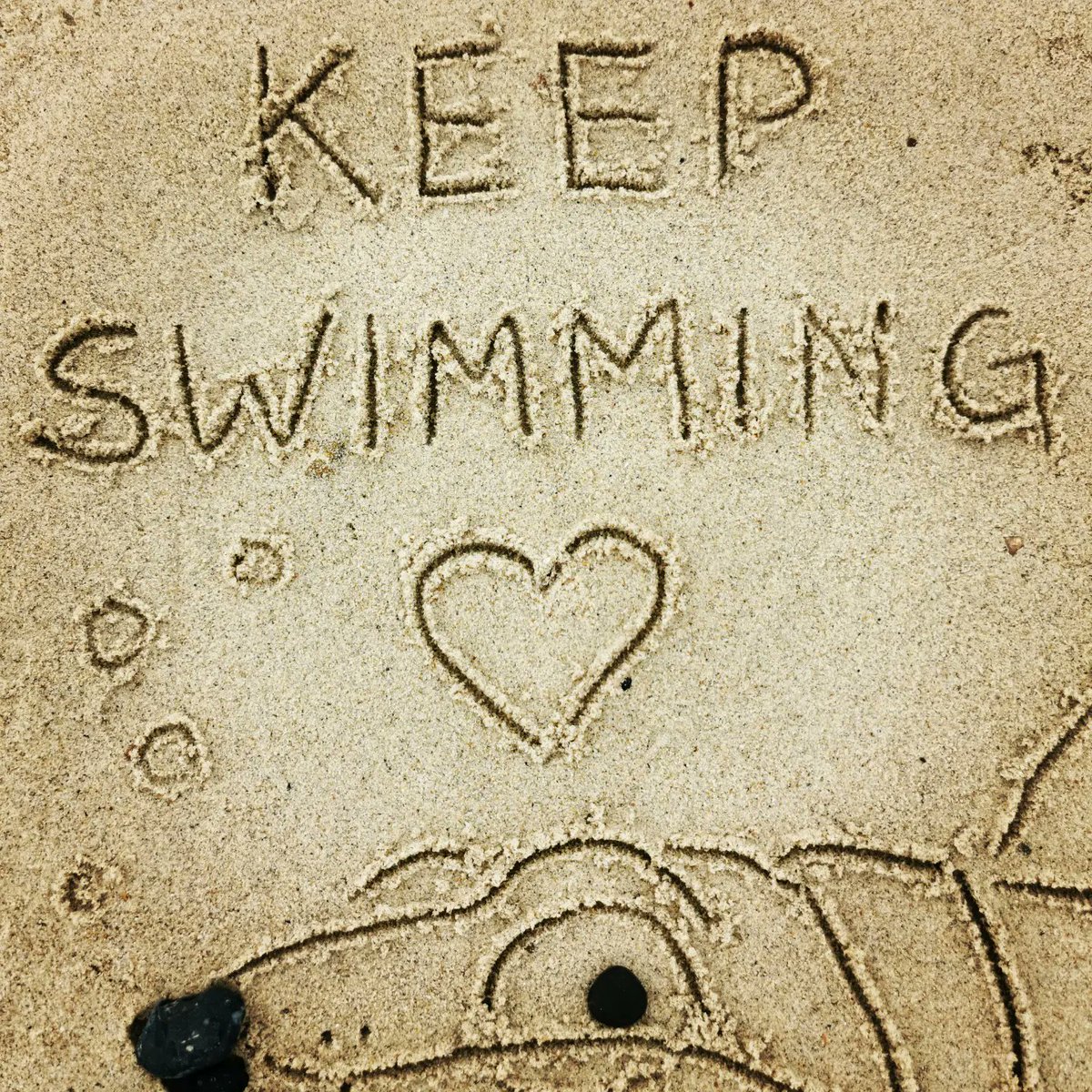 DigiDaughter's tweet photo. Keep Swimming π #Albert #GuardDog #Dogfish #Fish #TheDreamstone #MikeJupp #LandOfDreams #SueRadley #MartinGates #FilmFair #MonsterEntertainment
π #Covid2022 #Lockdown2021 #morale #VitaminSea ππ #DuneToons #Lockdown2020 #comics #cartoons βοΈ #SandBanksy #shorelinesally No.1972 https://t.co/9TaZFNrjDe