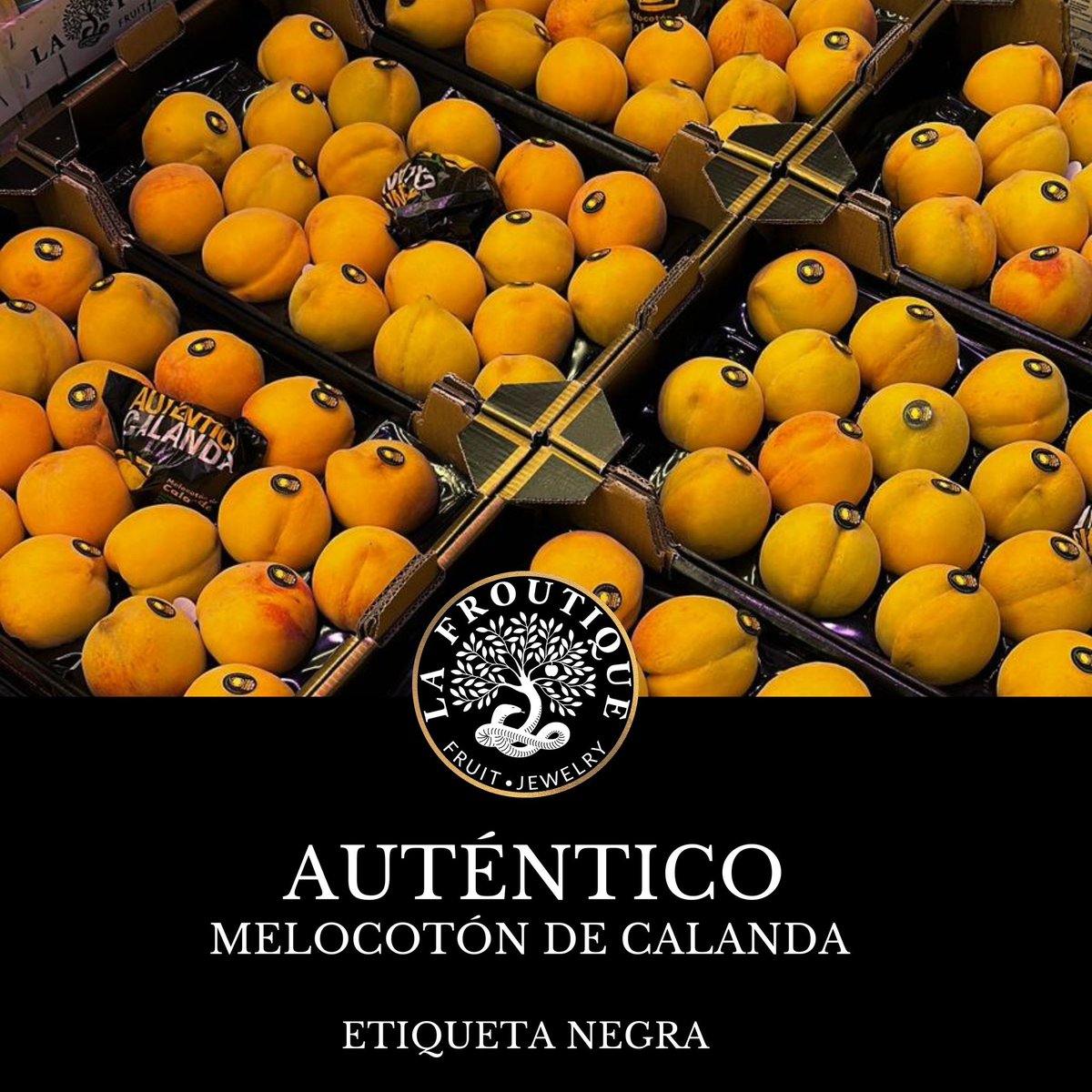 Considerado el mejor melocotón del mundo, el melocotón de Calanda tiene unas características propias de cultivo y recolección que lo hacen único