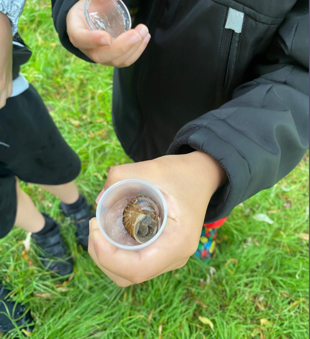 Summerhill Academy (@summerhillacad1) on Twitter photo Forest π³ School was amazing today.
In Scarlet Class we observed and collected so many different mini beasts! πͺ²ππ <a href="/Cabotfederation/">Cabot Federation</a> Forest π³ School was amazing today.
In Scarlet Class we observed and collected so many different mini beasts! πͺ²ππ <a href="/Cabotfederation/">Cabot Federation</a>
