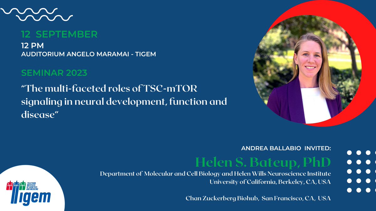 Tigem_Telethon's tweet image. 🔔 Today we have hosted Helen S. Bateup, PhD
for the seminar &quot;The multi-faceted roles of TSC-mTOR signaling in neural development, function and disease”.  

More info here  
tigem.it/newsroom/semin…

#seminar #NeuralDevelopment