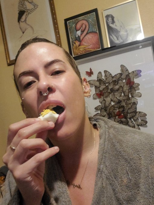 Them: "What are you doing after this?"  Me: "Eating a boiled egg and arguing with one of my cats." https://t<a href="/tag/wigglegram"class="tags"><span>#wigglegram</span></a><a href="/tag/nishika"class="tags"><span>#nishika</span></a>