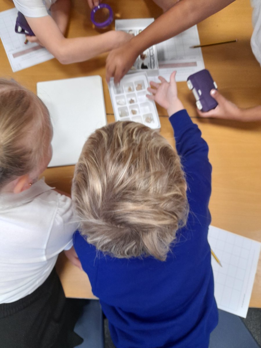 mpaherricka's tweet photo. Today 3AH are busy being scientists investigating rocks @DeltaMacaulay #macaulayscience https://t.co/JW4YxHO7A2