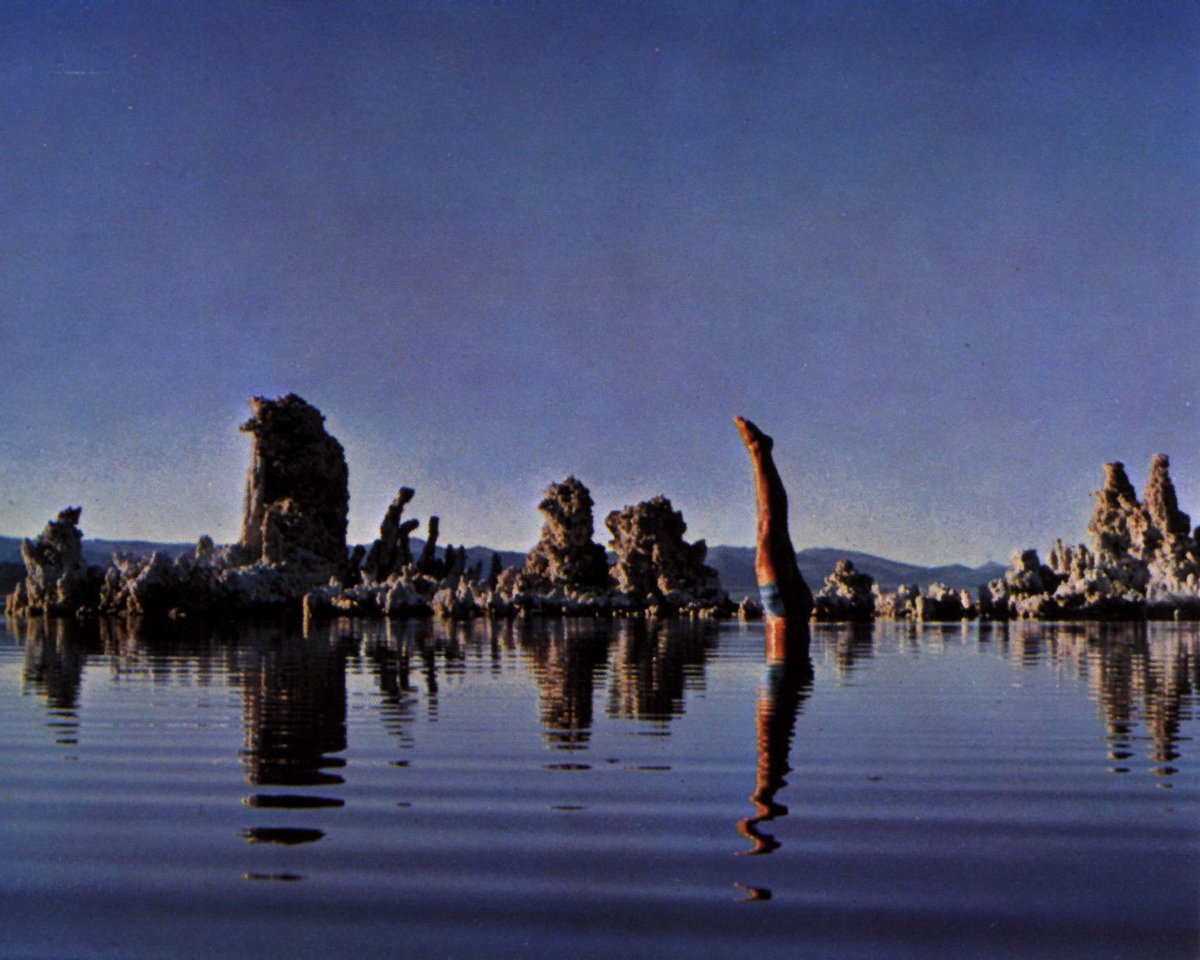 Pink Floyd tweet media