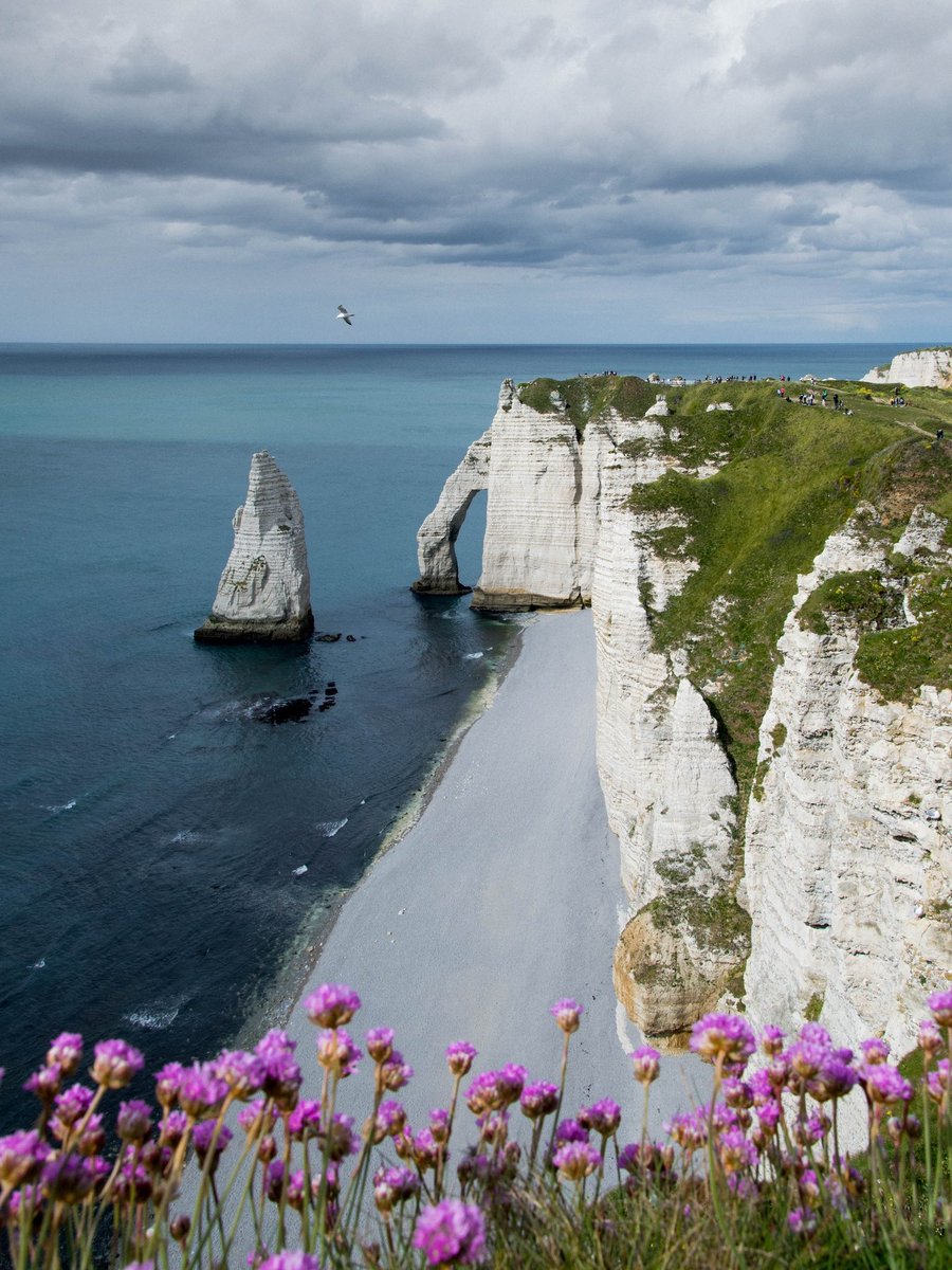 ExplorersFinds's tweet photo. 🌊 Explore the breathtaking cliffs of #Etretat, Normandy. The rugged coastline and stunning arches carved by nature leave you in awe. Nature's artistry at its finest! 🏞️ #TravelTuesday #France

@Normandie @Normandy https://t.co/lWBNG2wL45
