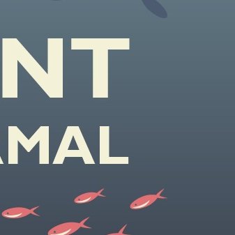 Adam Martín Skilton tweet media