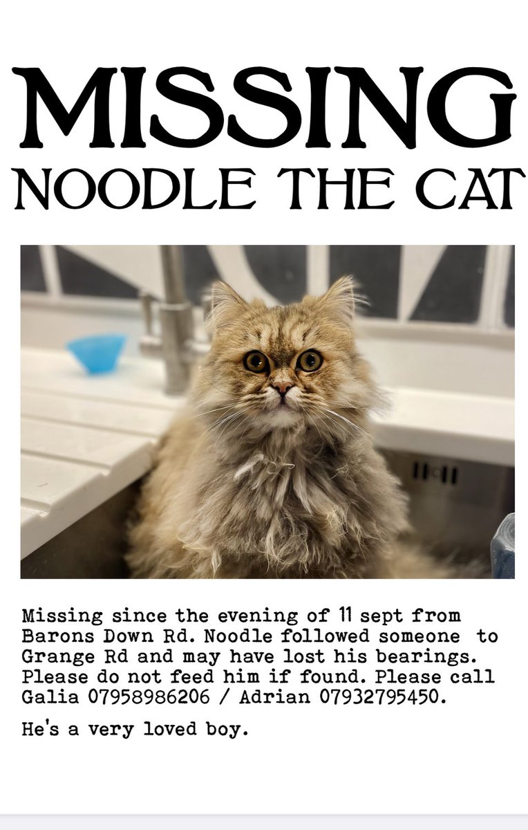 Anyone see this lad in Lewes? ⁦<a href="/DogsOfLewes/">Dogs Of Lewes</a>⁩